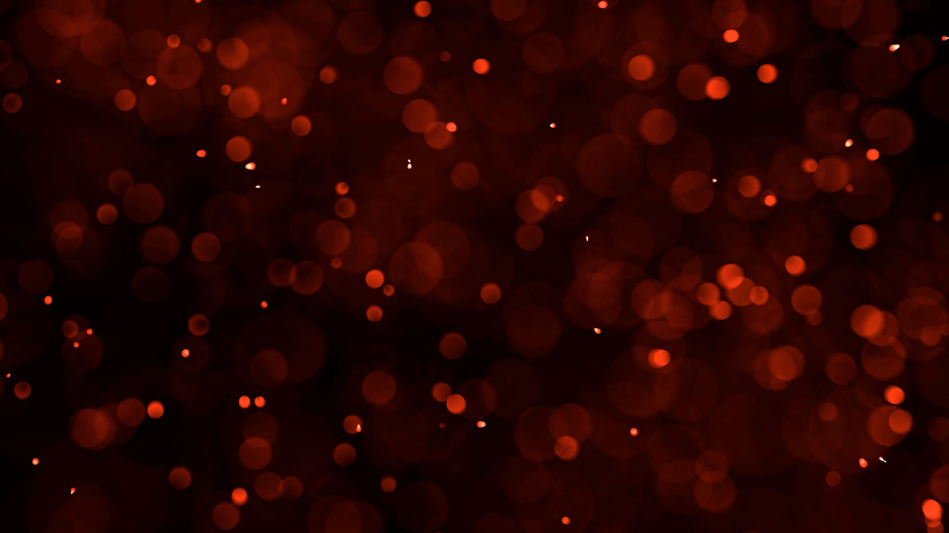 EXPO25_WAKAYAMA_3AND_27