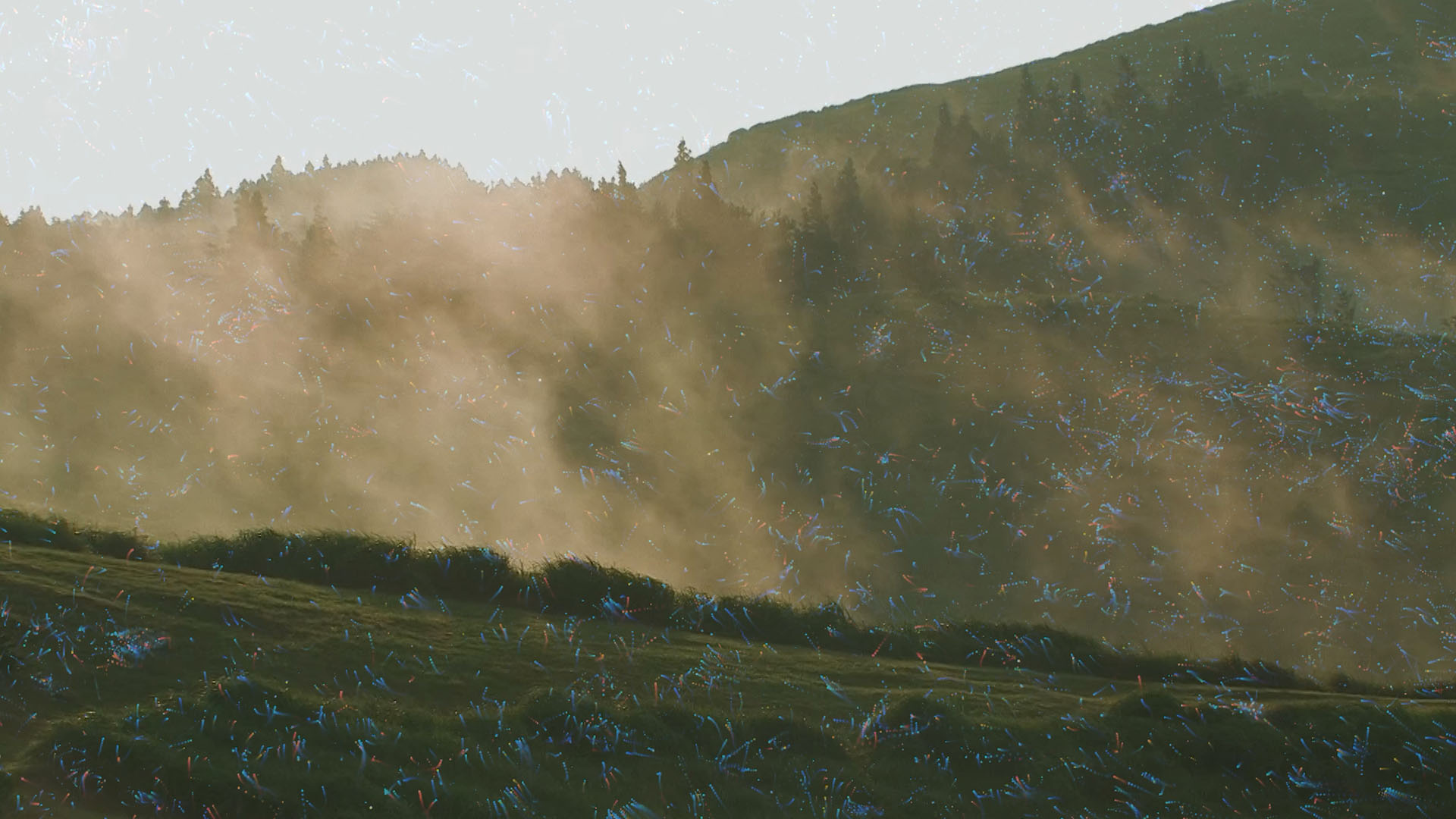 EXPO25_WAKAYAMA_3AND_28