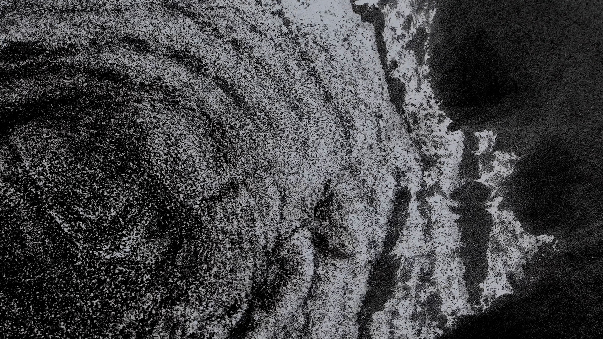 EXPO25_WAKAYAMA_3AND_49