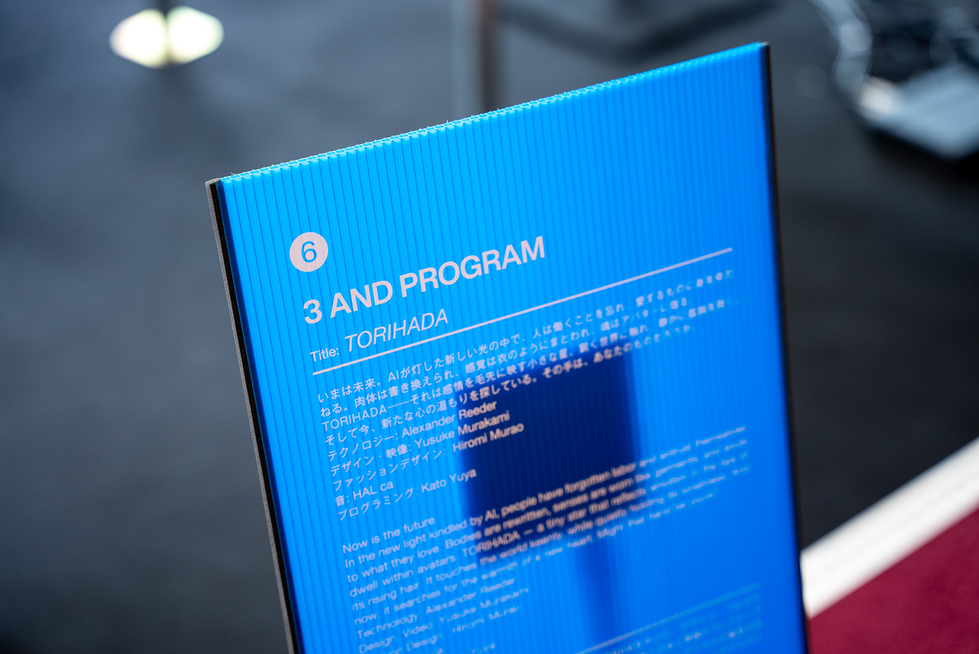 TORIHADA_TOKYO_PROTOTYPE_3ANDPROGRAM_8